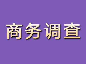 河东区商务调查